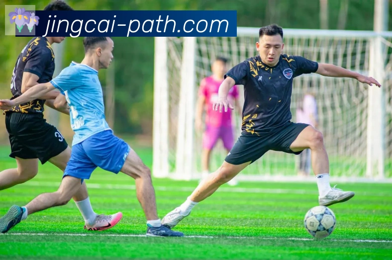 竞彩网首页荣誉